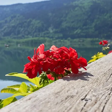 Appartement Seehaus Direkt Am Ossiachersee