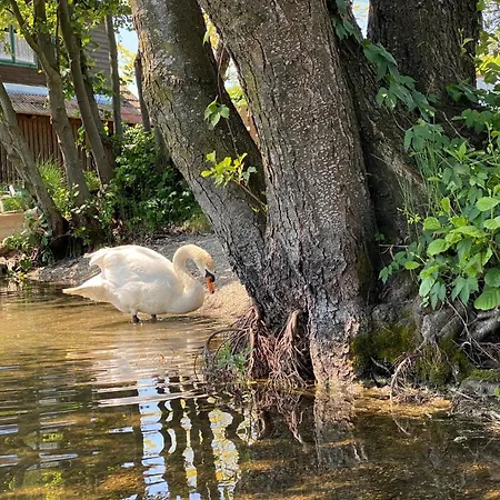 Appartement Seehaus Direkt Am Ossiachersee *